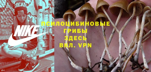соль курить ск Алексеевка