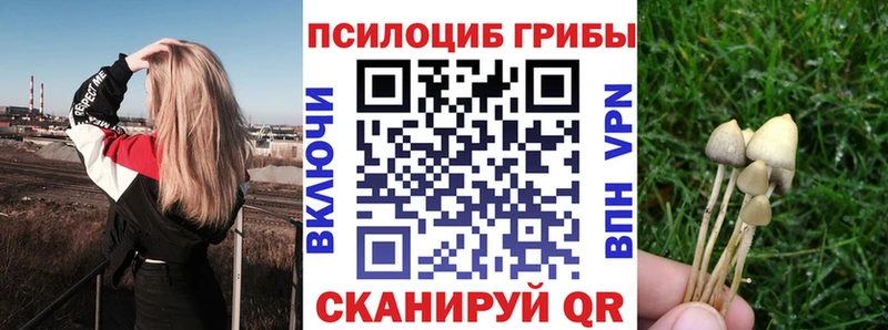 Галлюциногенные грибы Psilocybine cubensis  где можно купить наркотик  Темрюк 
